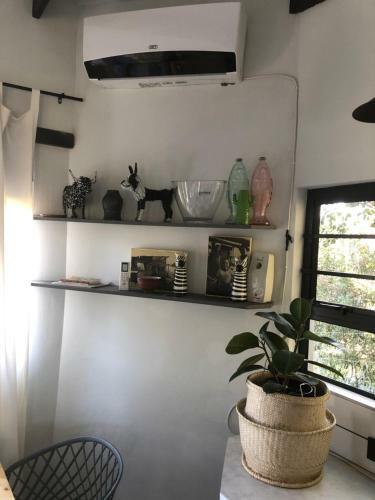 Hadada Self Catering Studio