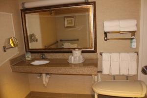 Hotel Holiday Inn Select Downtown