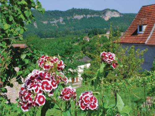 Holiday Home Le Bougayrou I-811
