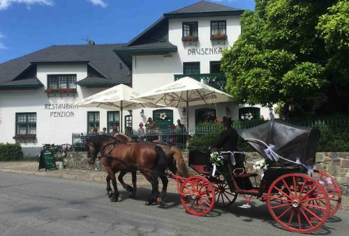 Hostal Pension Brusenka