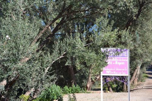 Hostal Dar Amethyste