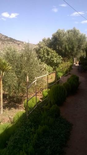 Riad Diwane