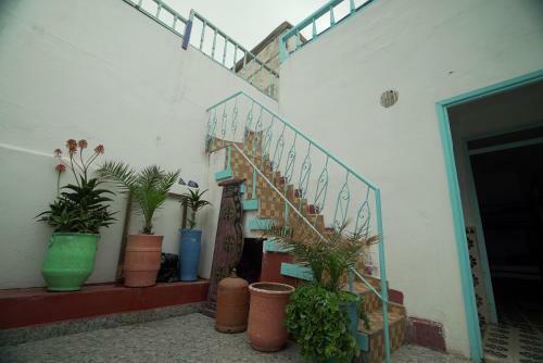 Albergue White And Blue