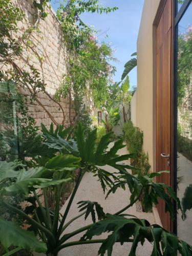 Villa La Fianc�e Du Vent
