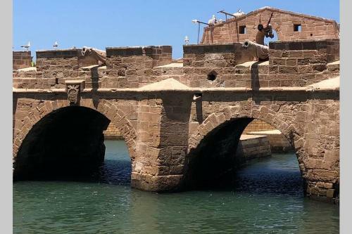 Villa Darsal-bwindi, Pour Tomber Amoureux D'essaouira !