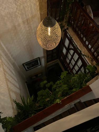 Villa Darsal-bwindi, Pour Tomber Amoureux D'essaouira !