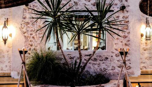 Bed & Breakfast Out Of Medina