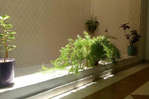 Nice Apartment...... Near The Beach
