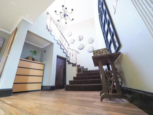 Hostal Fever Tree Guesthhouse