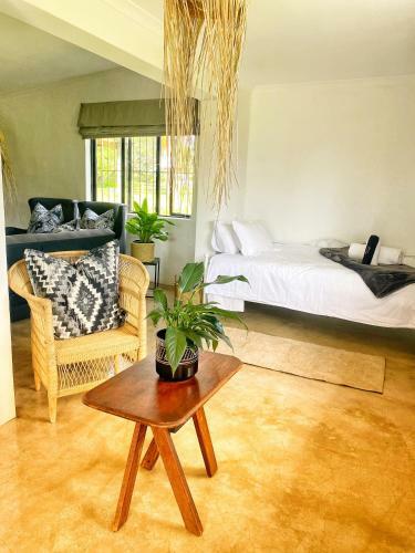 Hostal Fever Tree Guesthhouse