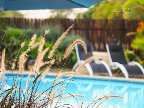Hostal Fever Tree Guesthhouse