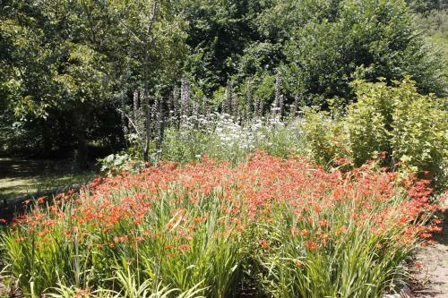 Nibelheim Self Catering Cottage
