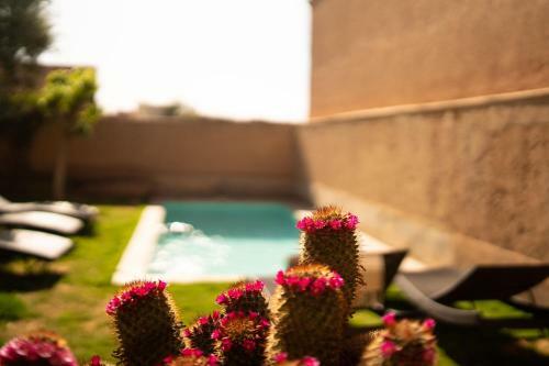 Bed & Breakfast Tagadert Lodge