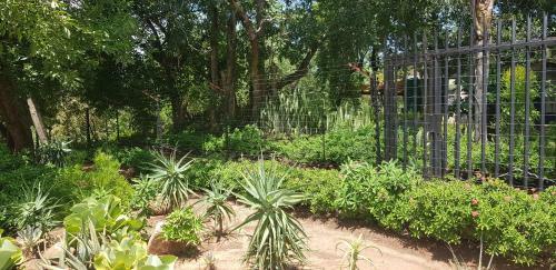Agroturismo Casablanca's
