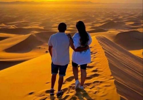 Sahara Views Camp