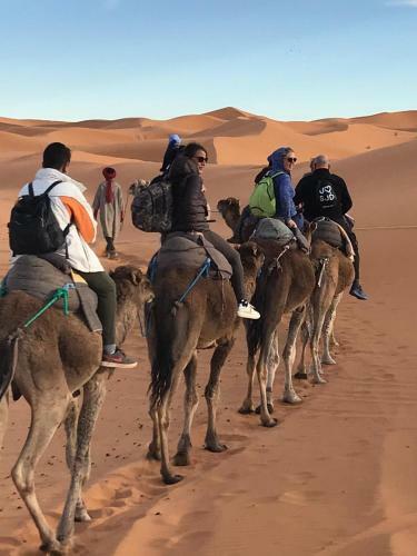Sahara Views Camp
