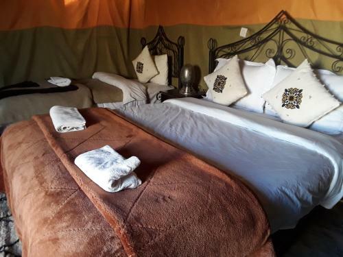 Chams Luxury Desert Camp