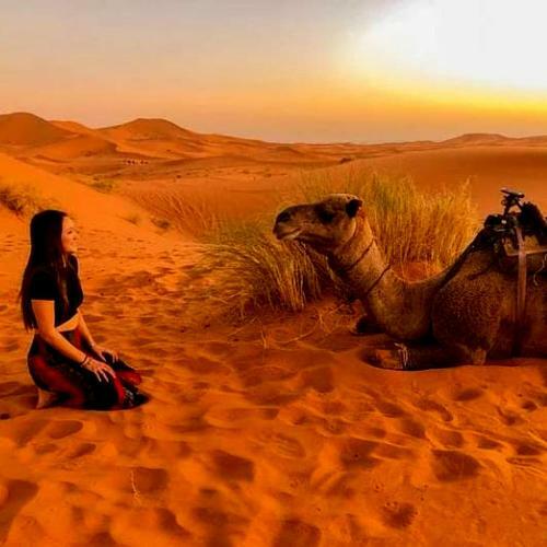Desert Overnight Trips