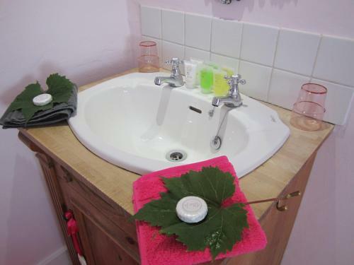 Bed & Breakfast Vine Cottage