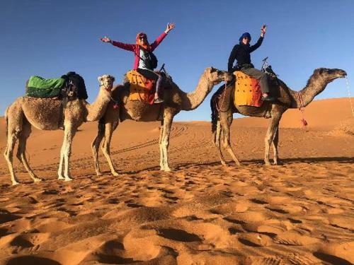 Merzouga Best Luxury Camps
