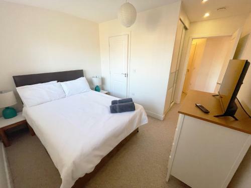 Continental Apartments 2-bed Farnborough Airport