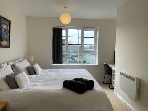 Continental Apartments -2-bed Farnborough Airport