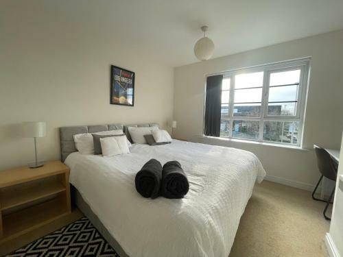 Continental Apartments -2-bed Farnborough Airport