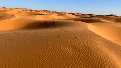 Amazigh Luxury Camp