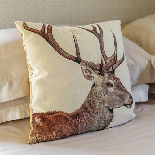 Stag