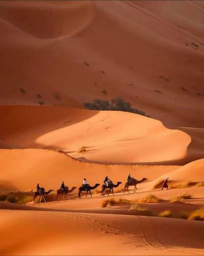 Azalay Luxury Camp
