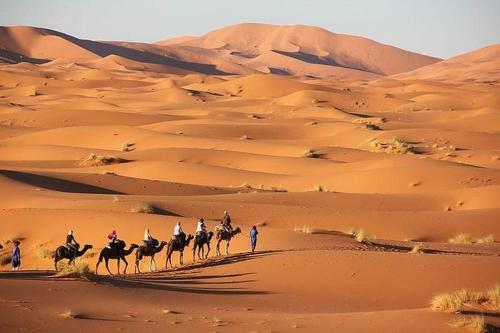 Bed & Breakfast Taymat Morocco Tours
