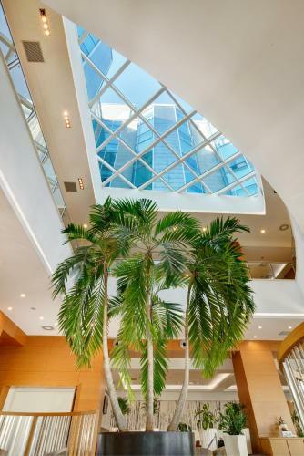 Hotel Diamante
