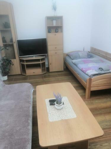 Apartamento Penzion Ivana