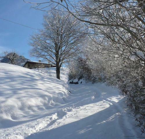 Bed And Breakfast Il Mirtillo