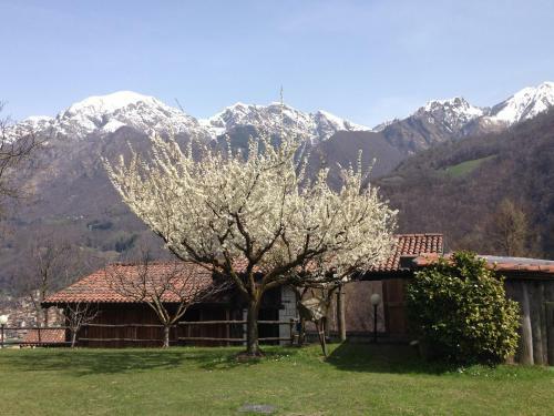 Bed And Breakfast Il Mirtillo