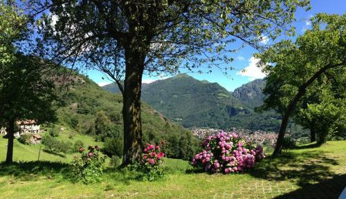 Bed And Breakfast Il Mirtillo