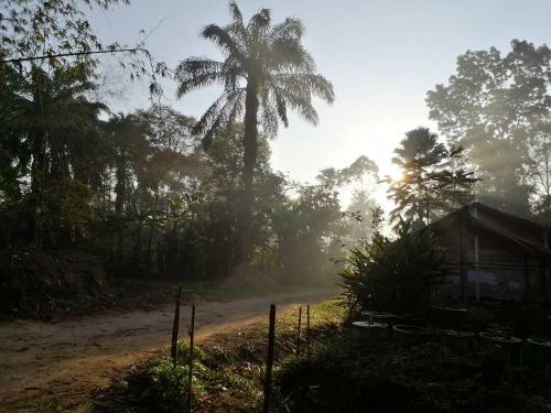 Albergue Suan Bang Bon, B&B - Inn