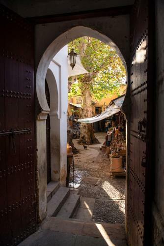 Bed & Breakfast Dar Anne