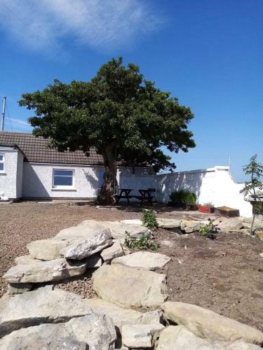 Cheviot Cottage Forse Lybster Highlands