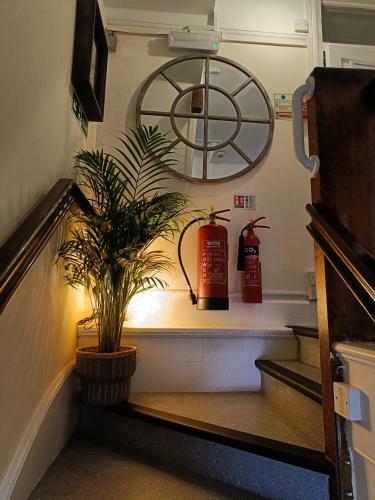 Hostal The Ship Inn