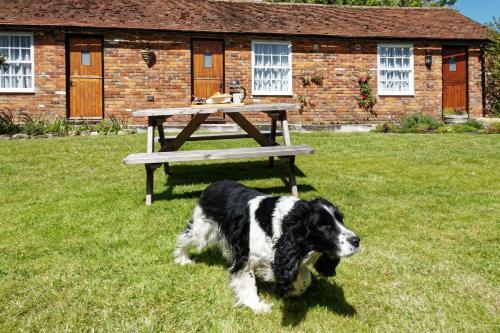 Bed & Breakfast Beachborough Park