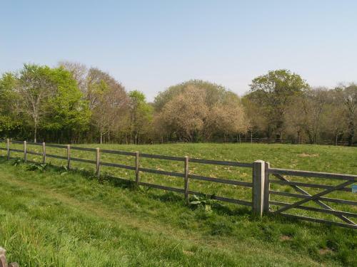 Tradewind, Easton Lane, Freshwater