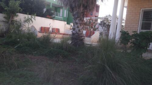 Villa Avec Jardin
