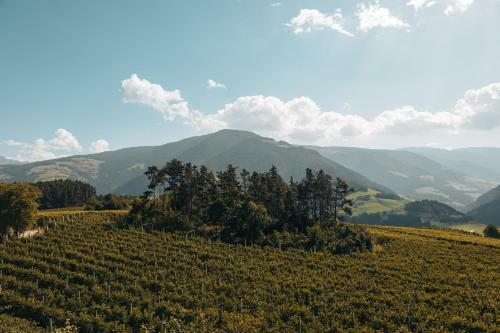 Landhotel M�hlwaldhof