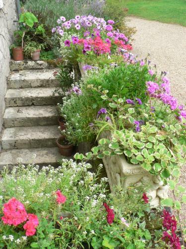 Bed & Breakfast Le Clos De La Chesneraie