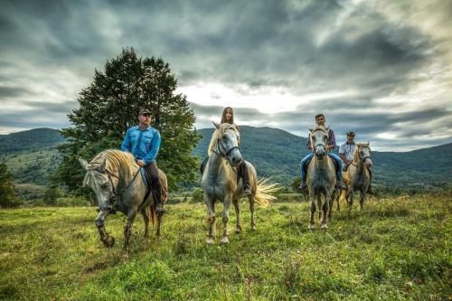 Hostal The White House
