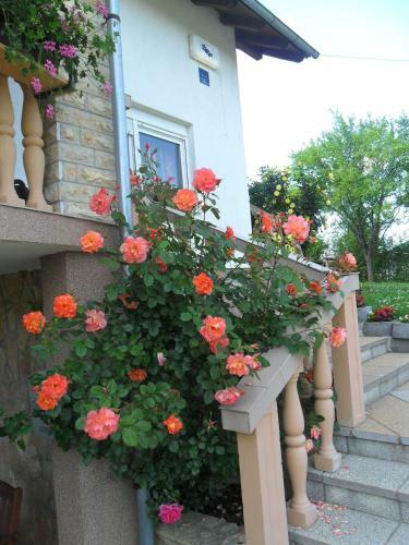 Hostal Guesthouse Sara