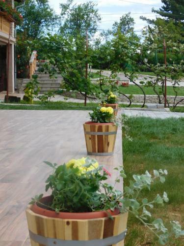 Hostal Guesthouse Sara