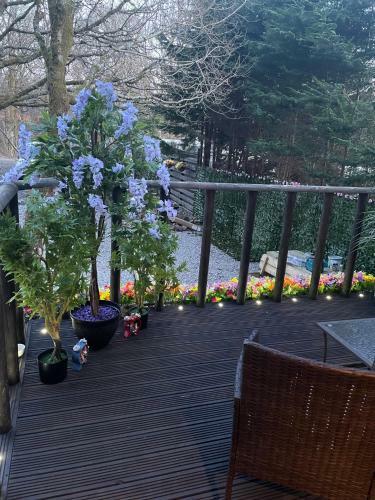 Bluebell Lodge