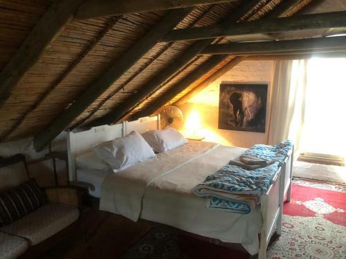 Posada Hermanus Surf School And Lodge
